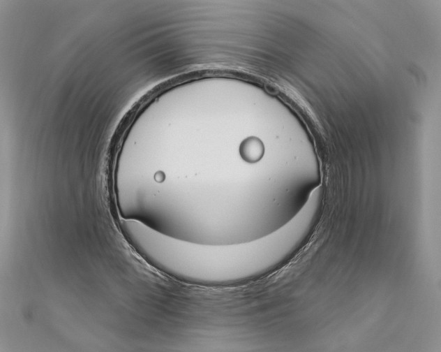 X0000110901068200907091411