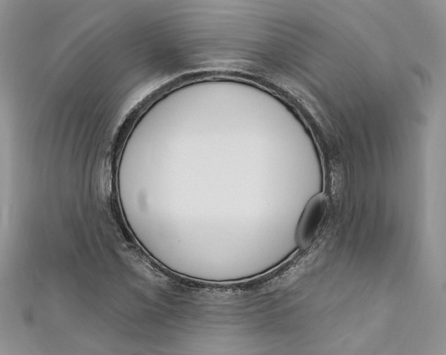 X0000110901069200907091411