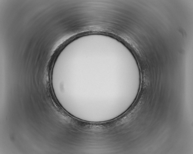 X0000110901070200907091411