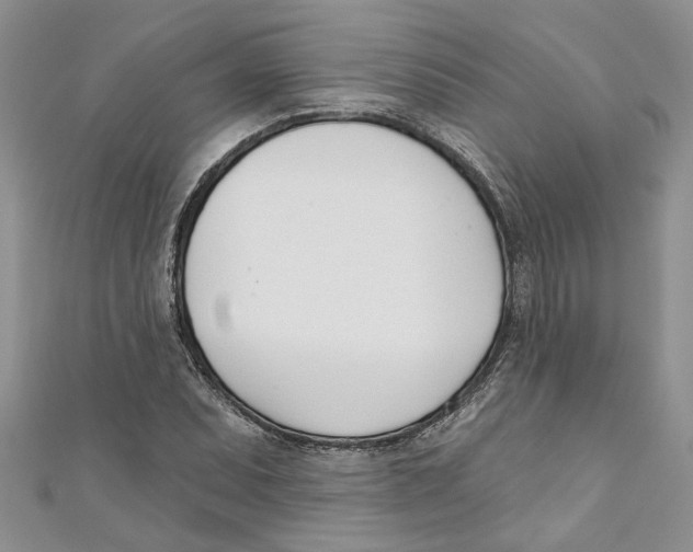 X0000110901071200907091411