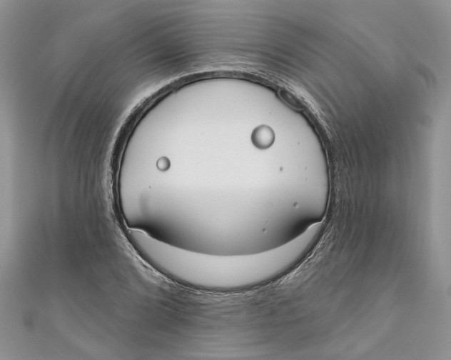 X0000110901072200907091410