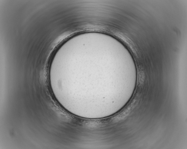 X0000110901074200907091410