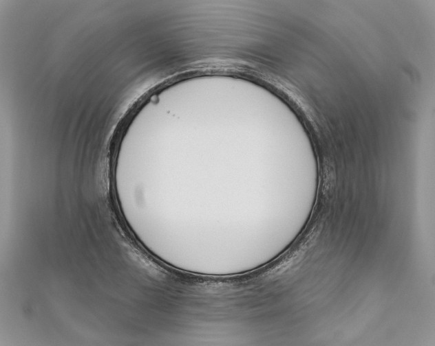 X0000110901075200907091410