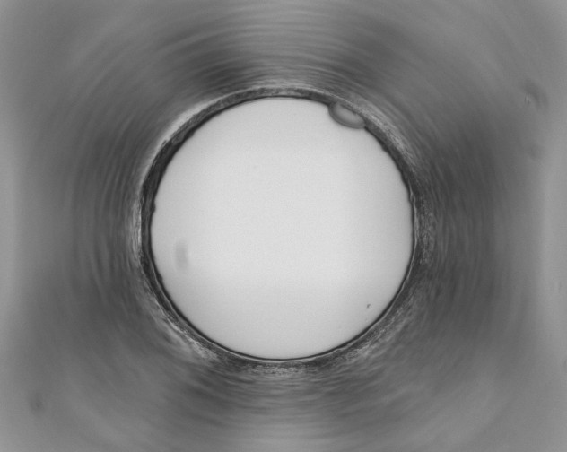 X0000110901076200907091410