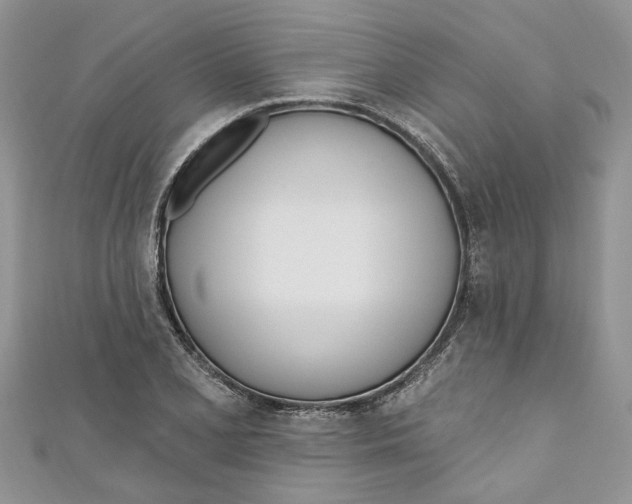 X0000110901077200907091410