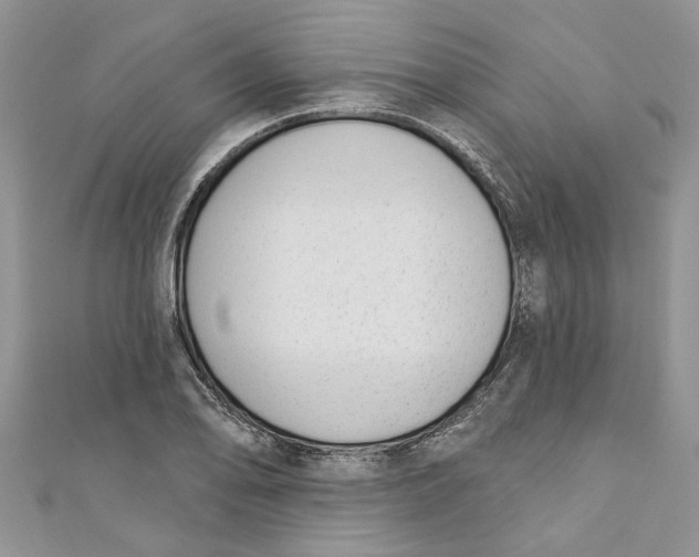 X0000110901078200907091410