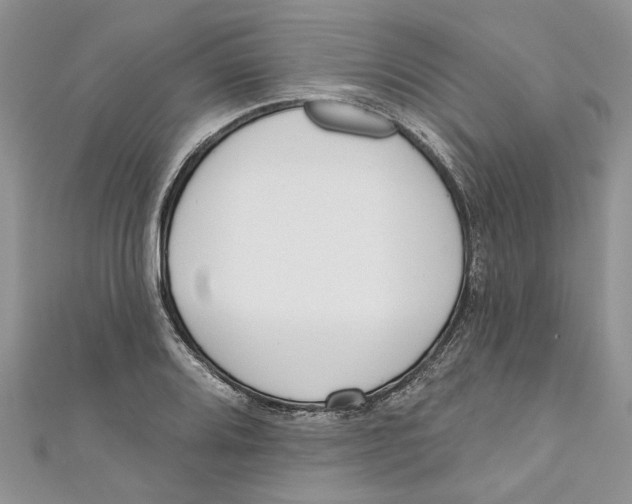 X0000110901080200907091410