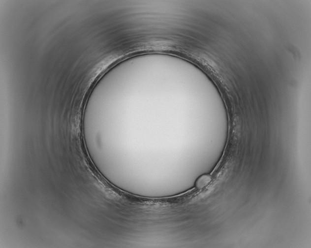 X0000110901081200907091410