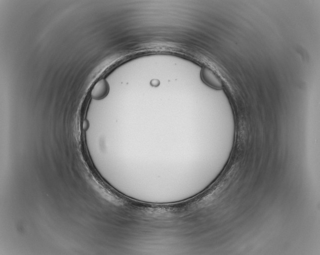 X0000110901082200907091410