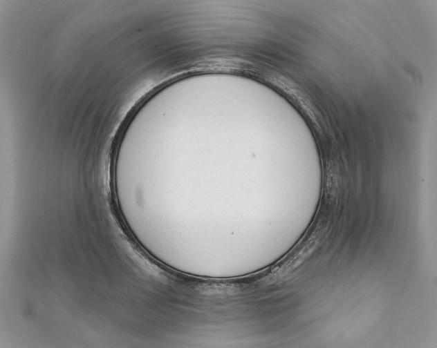 X0000110901083200907091410