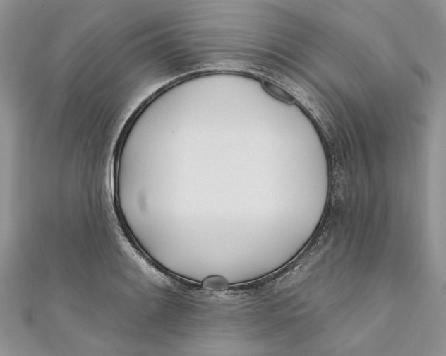 X0000110901084200907091410