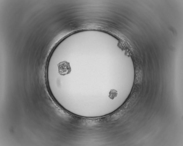 X0000110901086200907091410