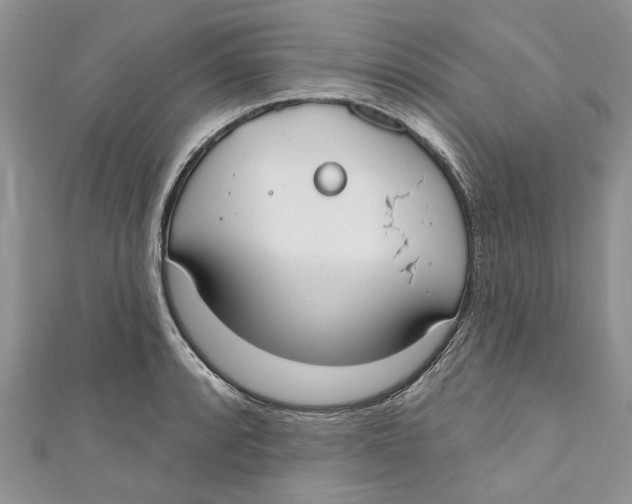 X0000110901088200907091410