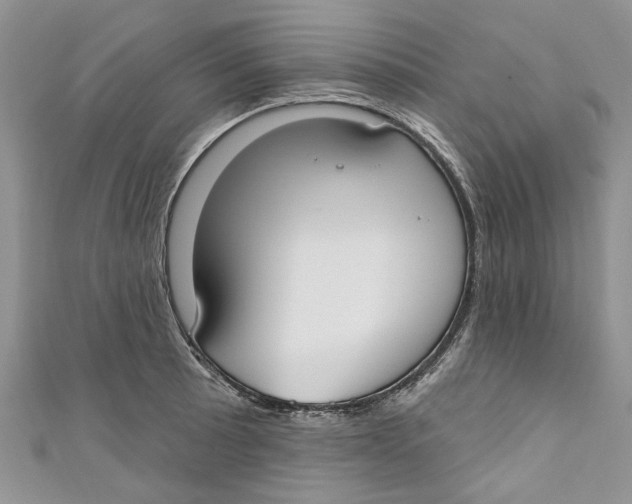 X0000110901089200907091410