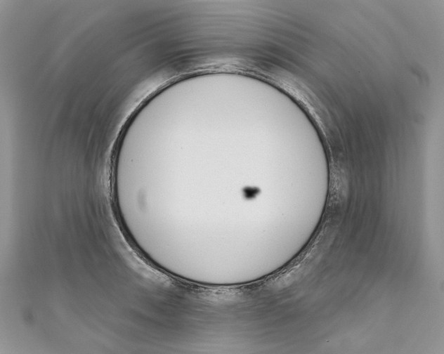 X0000110901090200907091410