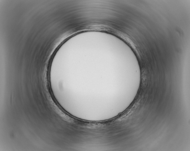 X0000110901091200907091410