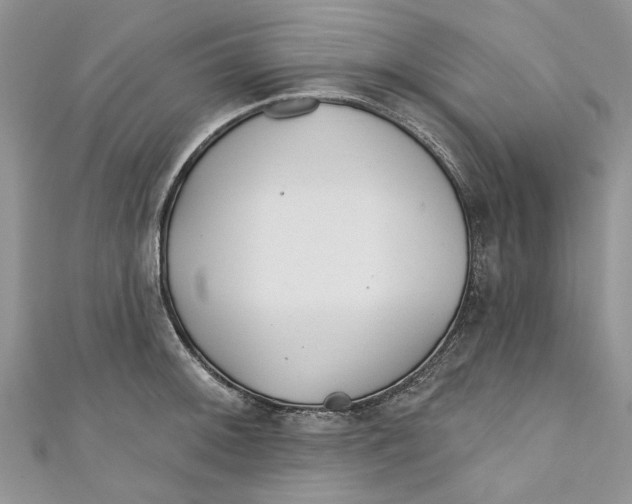 X0000110901092200907091410