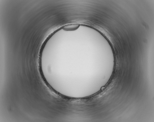 X0000110901093200907091410