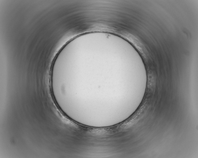 X0000110901094200907091410