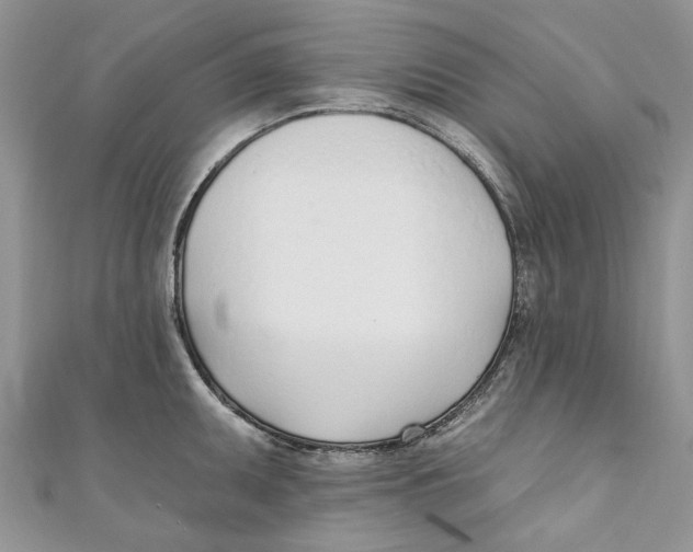 X0000110901095200907091410