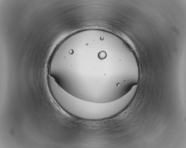 X0000110901096200907091410