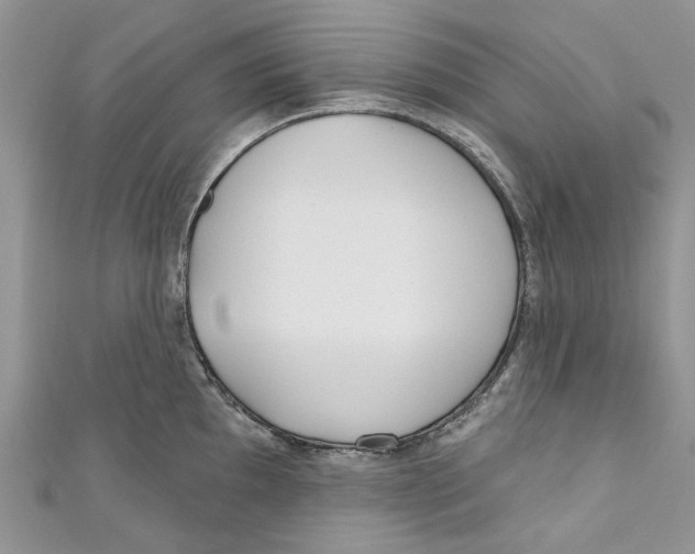 X0000110901097200907091410