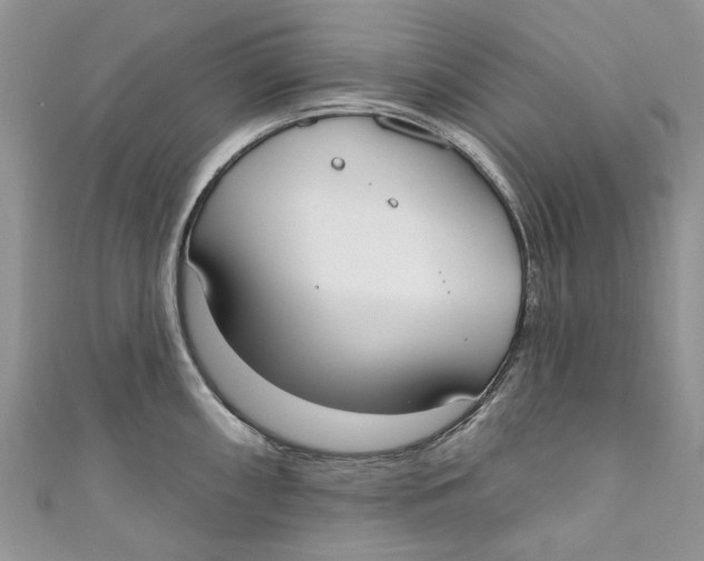 X0000110901098200907091410