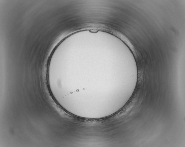 X0000110901099200907091410