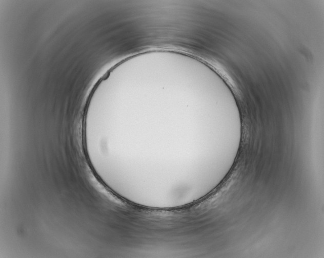 X0000110901100200907091410