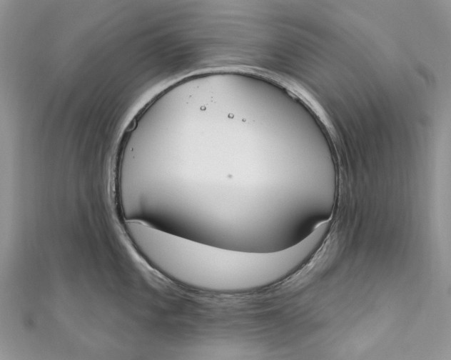 X0000110901101200907091410