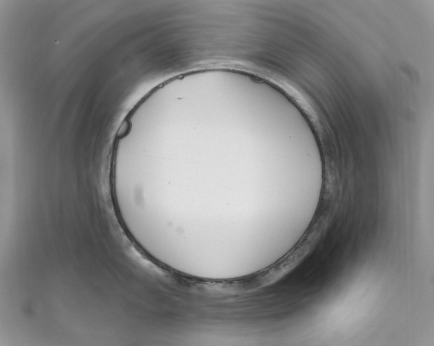 X0000110901102200907091410