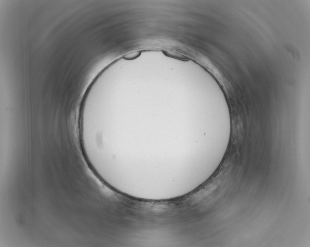 X0000110901103200907091410