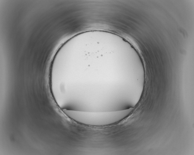 X0000110901104200907091410