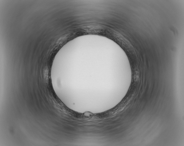 X0000110901108200907091409