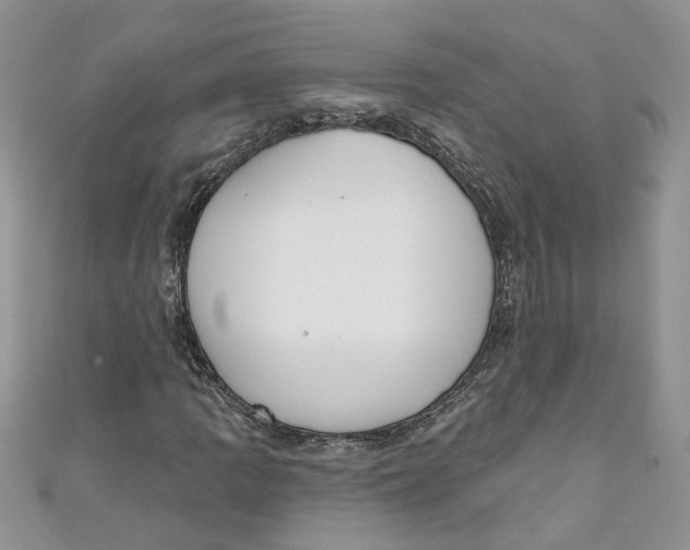 X0000110901109200907091409