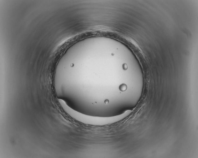 X0000110901112200907091409