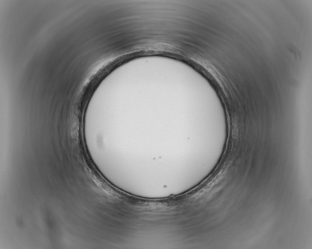 X0000110901115200907091409