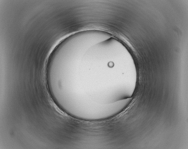 X0000110901116200907091410