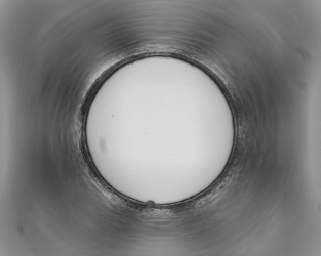 X0000110901119200907091410