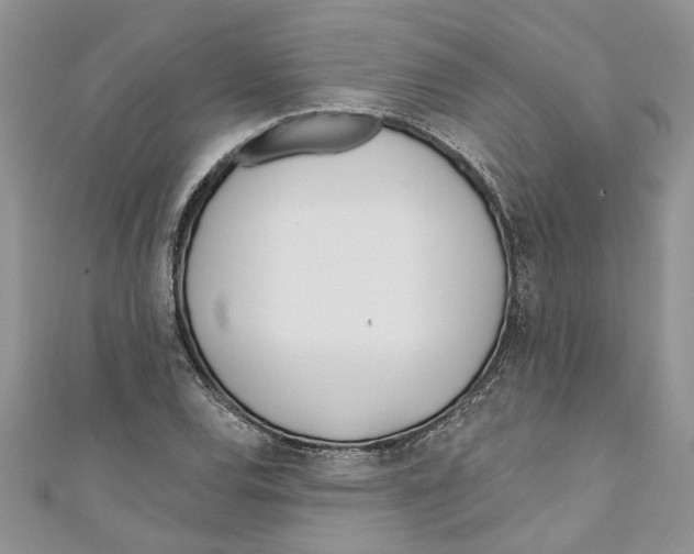 X0000110901120200907091410