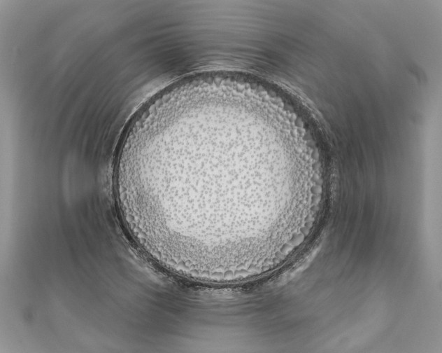 X0000110901121200907091410