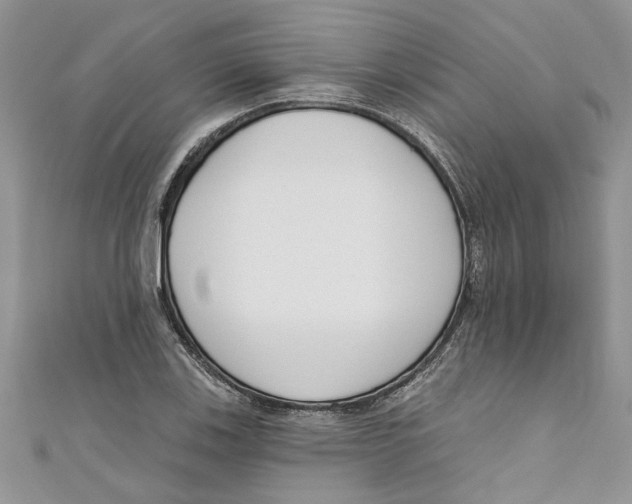 X0000110901123200907091410