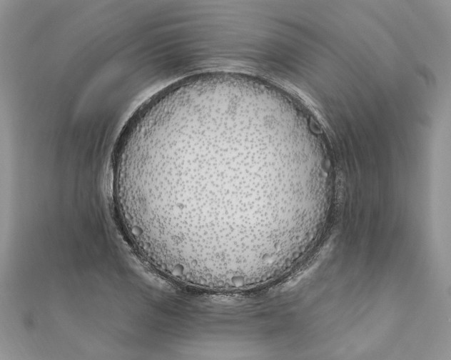 X0000110901125200907091410