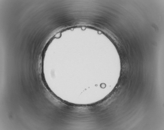 X0000110901126200907091410