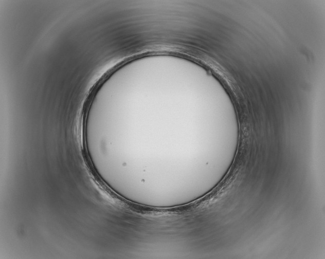 X0000110901127200907091410