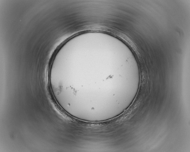 X0000110901128200907091410