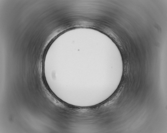 X0000110901130200907091410