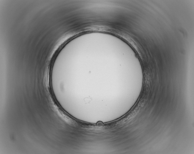 X0000110901131200907091410