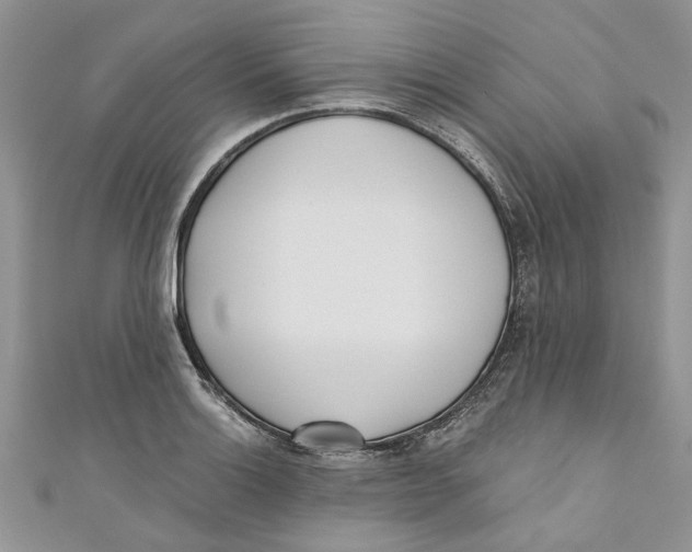 X0000110901132200907091410