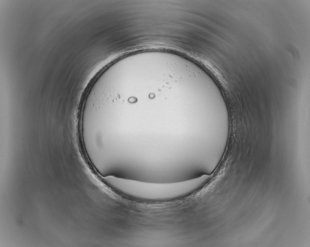 X0000110901134200907091410